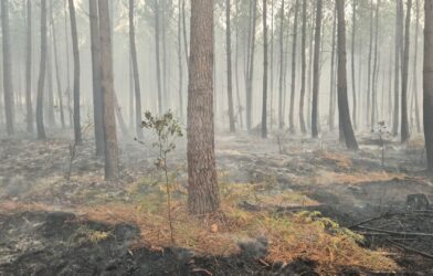 APPEL URGENT ACCUEIL INCENDIE